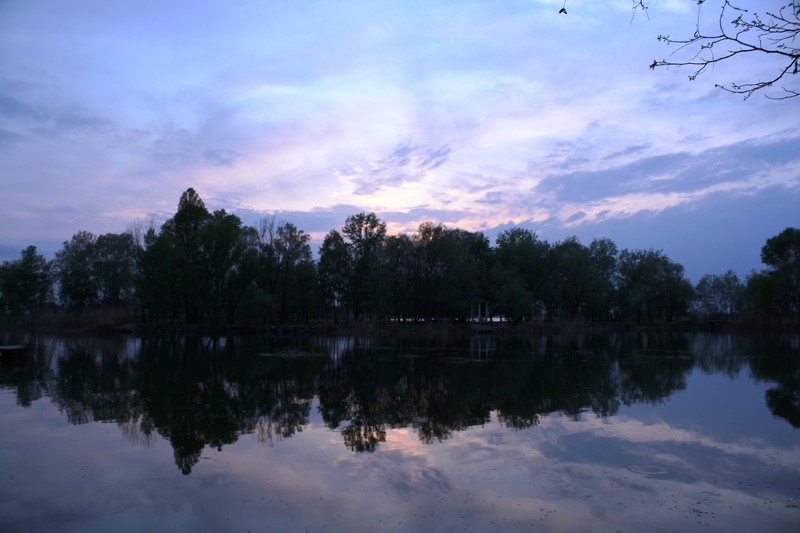 1  2009