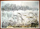  _  2011_ 300420