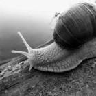 �������...