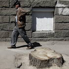 ��������_3