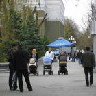 ��������_1