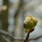 '�������'