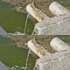 �������� ����