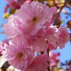 ������-���