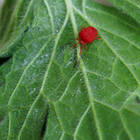 ����� �� ����