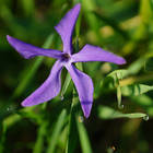 �������� ����