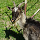 ��� �����!