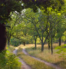 ���� � ����� ������