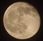 ���� ��� ������� 16.04.2014