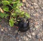 �� ����� ���������