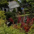 ���� �������� �������.