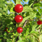 ��������� �����