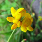 �������� �������