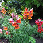 ��������� �����