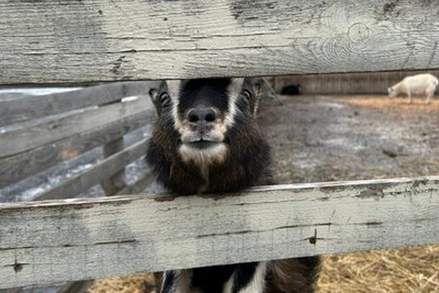 ���������� � ���'������ ����. �������� ������/�������� �����