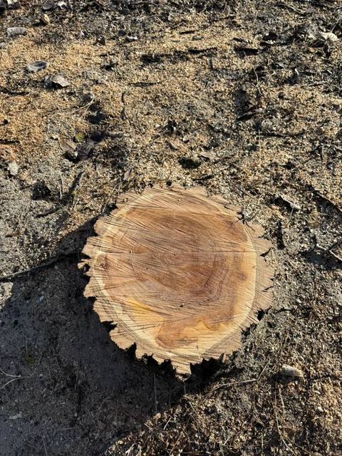 ���, �� ���������� �� ������ �� �������������� ������. 