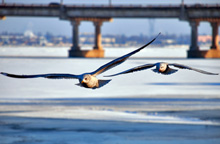 ����� ����� ����� ������ ���������?