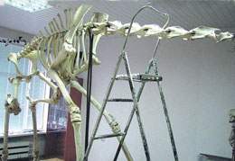 � ��������������� �������� ������ � ������� ������ ������