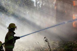 ���� ���������� �������� ������ �������