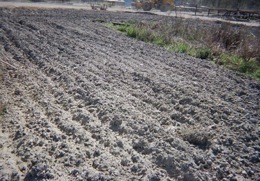 ������������ ������ �� ��������� ���������������� ������������������