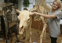 ����� ������� ������ ������