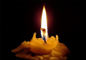 ���� ��������� ��������� ����������������