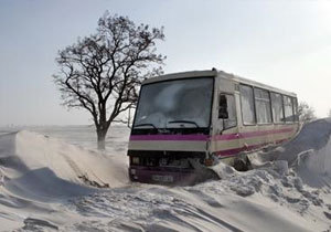 ������������ ����� ����������������