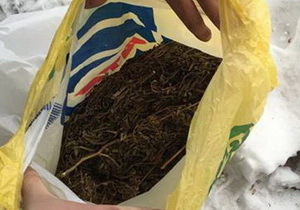 � ��������������� ������ ��������� �� 40 ����� ������