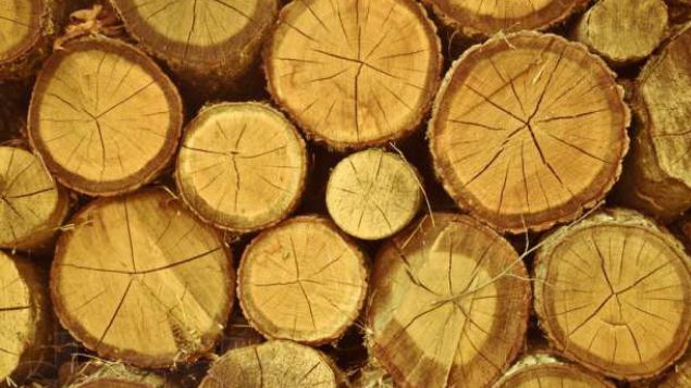 ���'����� ��������� ��������� ��������� ������� �������� � ������ �������