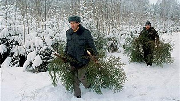 ���������� ������ ���� � ������� ����������