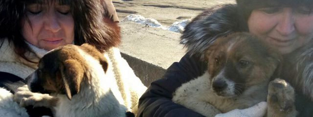 � ������ ��������� ���������� ������ �� �������