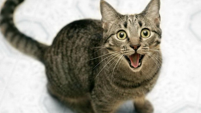 � ��������� ��������� ����� ��������� �����