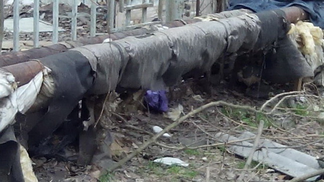 ��������� ���������� ���� ������ �����