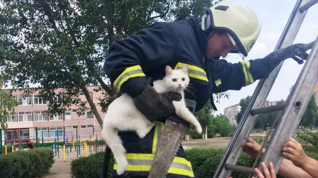 �� �������� ����� ��������� �������� ������ � ���������