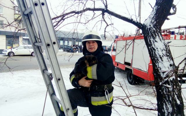 � ������ ���������� ���� ���������� ������� ��������