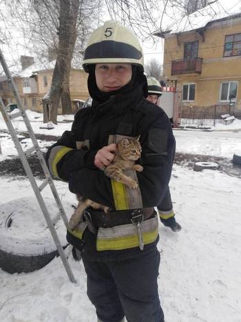 � ������ ��������� ����� ������ � ������