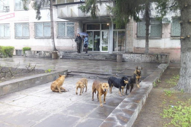 � ��������� ����, ��� �������� �������  �����