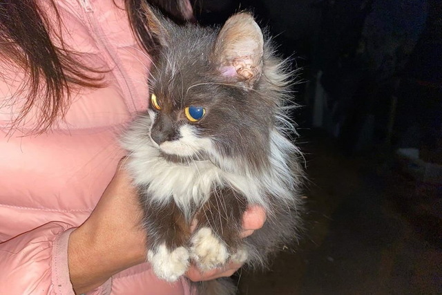 � ��������� ������ �������������� �� ������������ �������� � ������ �������