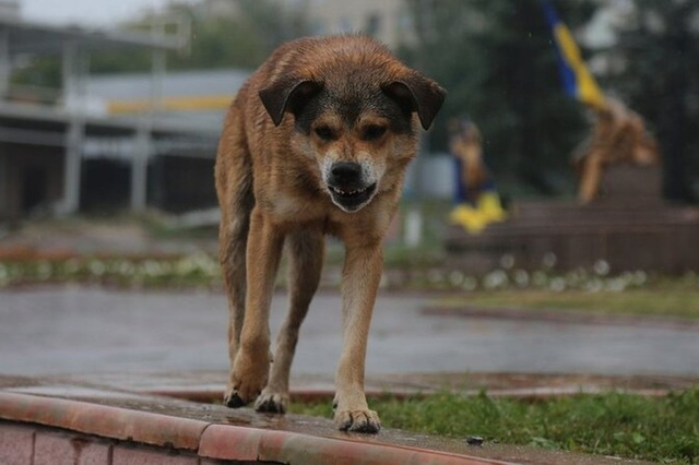 �  ������ ���� ����� �������� ��-�� ��������� � ������