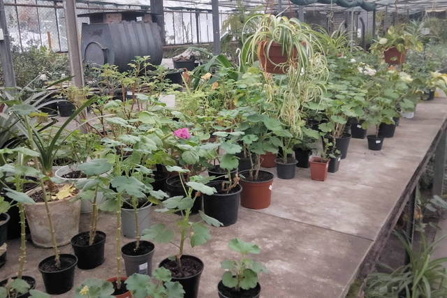 ��������� ������� ������� ������ � �� ��� ����������!