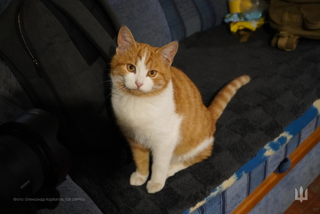 У Днепровской бригады «Дикое поле» появился новый хвостатый талисман