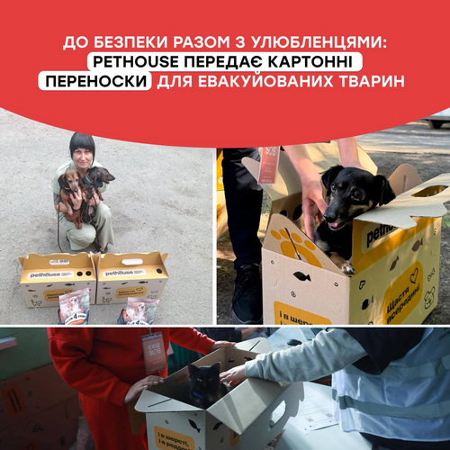 Из прифронтовых районов Днепропетровщины эвакуируют домашних животных