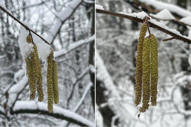 �� ���������������� ������� ������