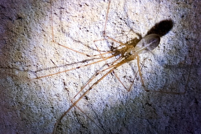 � ��������� ������� ��� ���� ����������� ������������ �����