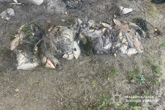 �� ���������������� ���������� ����������, ���� ������ ������ �� 100 ����� �������