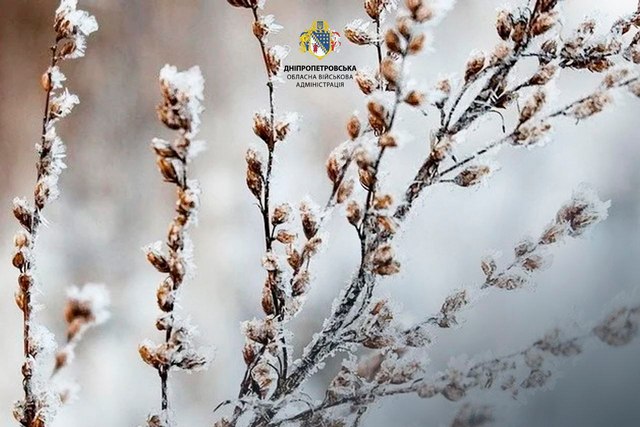 ֳ�� ���� � ��� ������� � �������� ����������������  � ��� �������