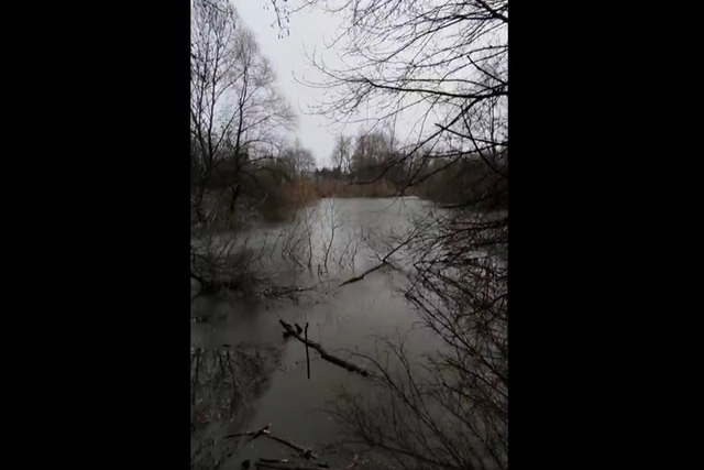 ����� ���� ������ ���������� ������� ���������!