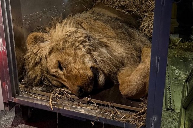 � ���������������� ���������� ����, ���� � ������ ��������� � ��������� ������