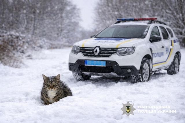 ����������� ���������������� ��������� ������������ � ��������� ��������