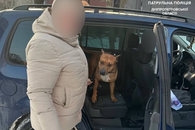 ��������� � ����� ��������� �������� ����������� ������ 